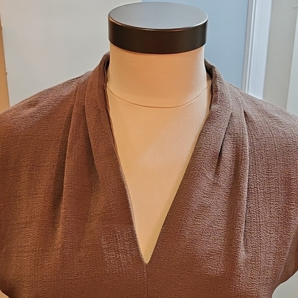 Carmen Marc Valvo Tan Dress - Picture 5 of 6